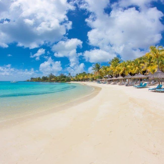 Royal Palm - Ile Maurice