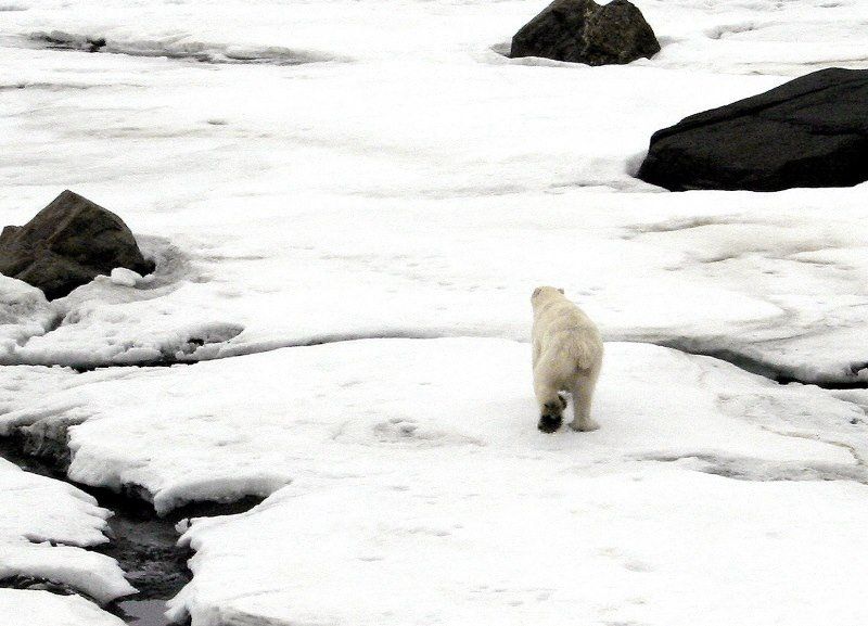 Voyage au Canada - Québec - Nunavik