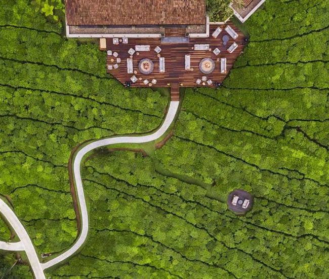 One & Only Nyungwe House - Rwanda